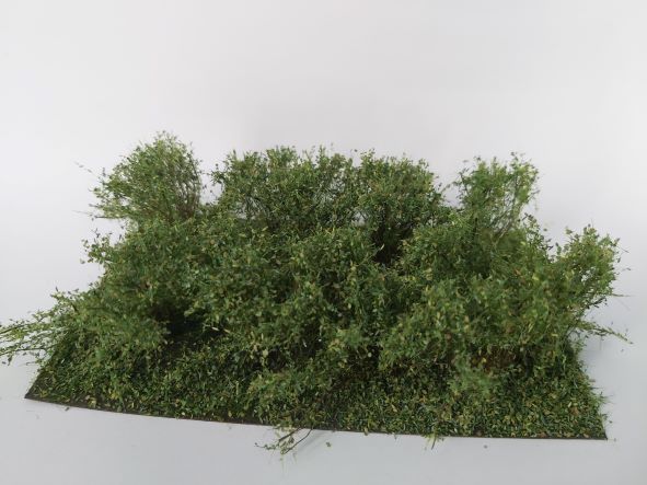 SUMMER UNDERGROWTH BUCKBRUSH NEW!/15 x 9 cm